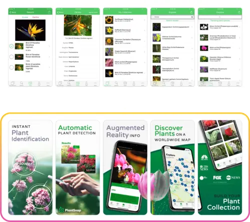 plantsnap screenshots